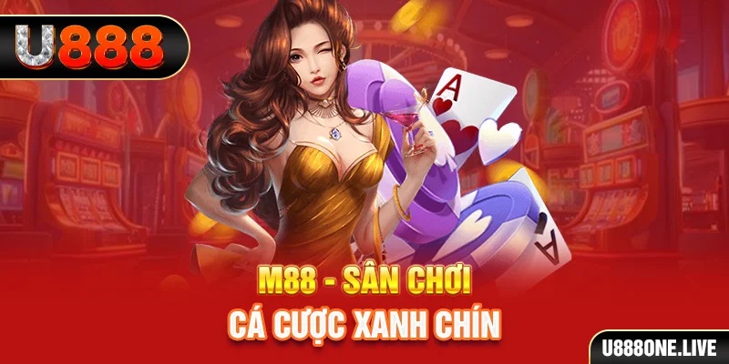 tg88 gà chọi cậu thanh