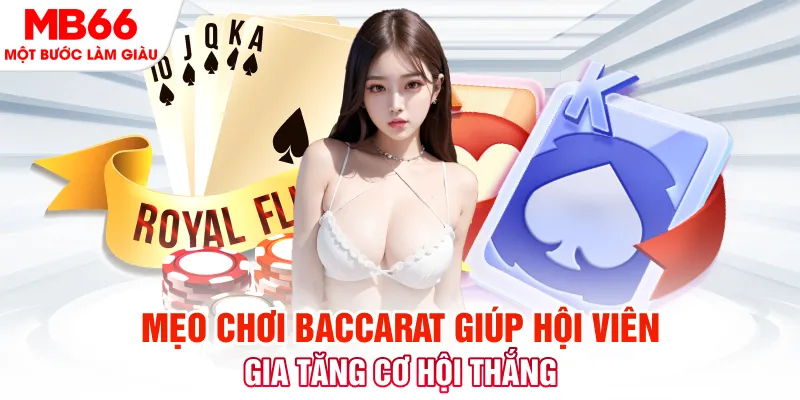 tg88 đá gà 88