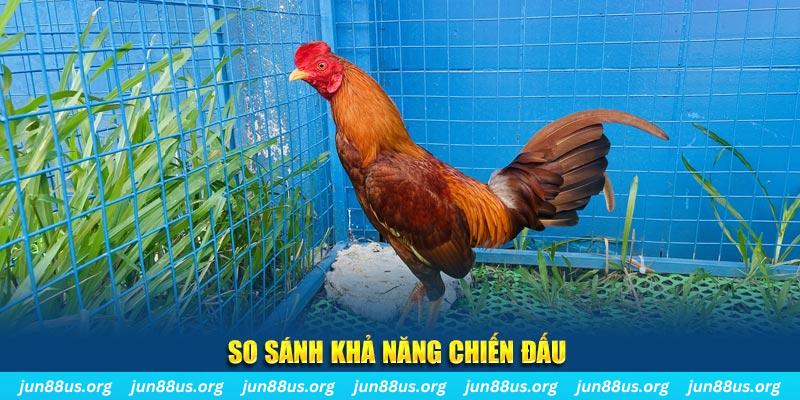 tg88 xổ số tiền giang
