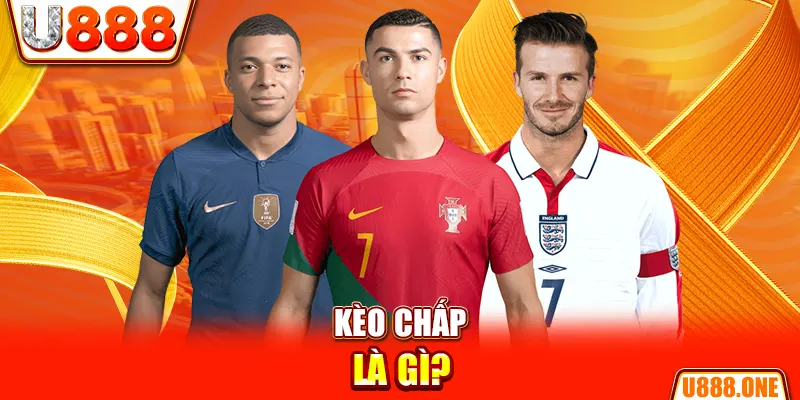 tg88 chổi lông gà