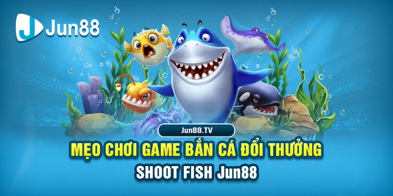 tg88 tai game danh bai bigkool ve may tinh