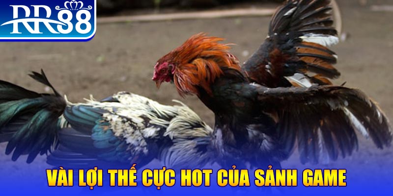 tg88 nổ hủ là trò gì
