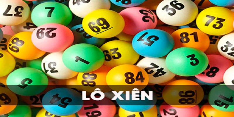 tg88 what is a casino comp program