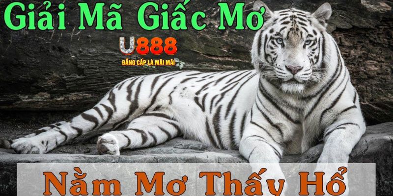 tg88 xổ số kiến thiết miền bắc