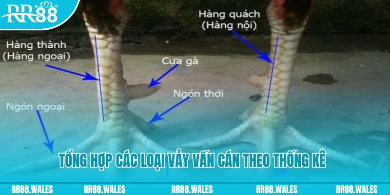 tg88 nổ hũ chơi như thế nào