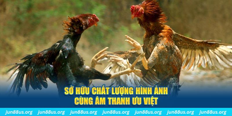 tg88 tai game danh bai ve may tinh