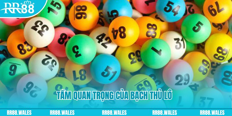 tg88 đá gà trực tiếp casino