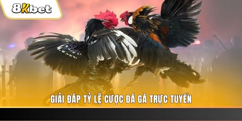 tg88 xổ số ba đài