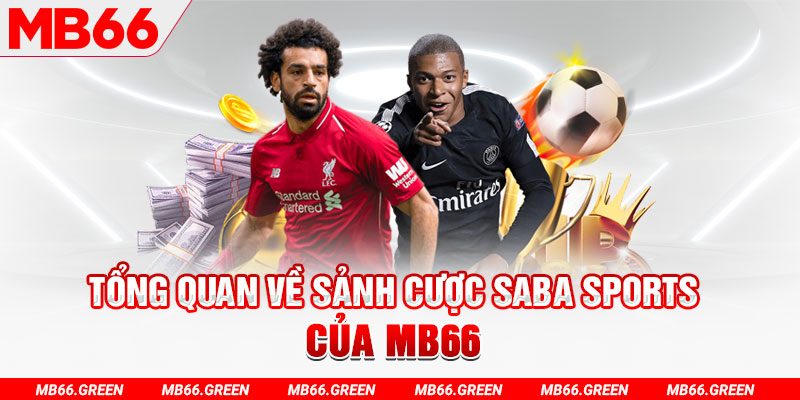 tg88 slot có nghĩa là gì