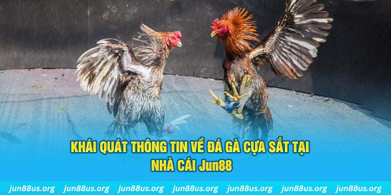 tg88 game bài trên máy tính