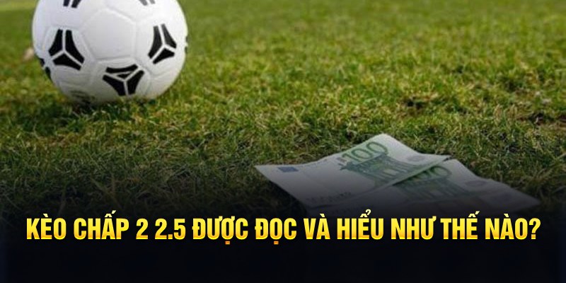 tg88 đá gà thomo