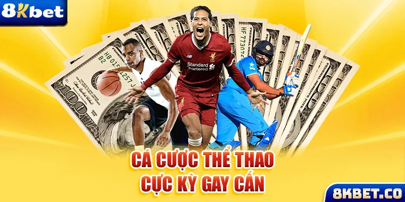 tg88 Bữa tiệc dành cho thanh thiếu niên